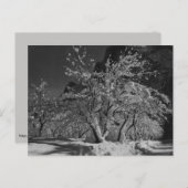 冬の夜 ポストカード (正面/裏面)