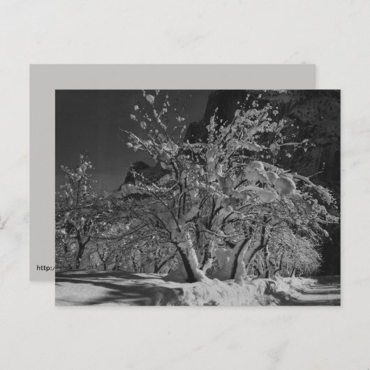 冬の夜 ポストカード (正面/裏面)