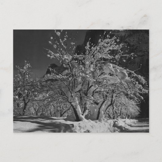 冬の夜 ポストカード (正面)