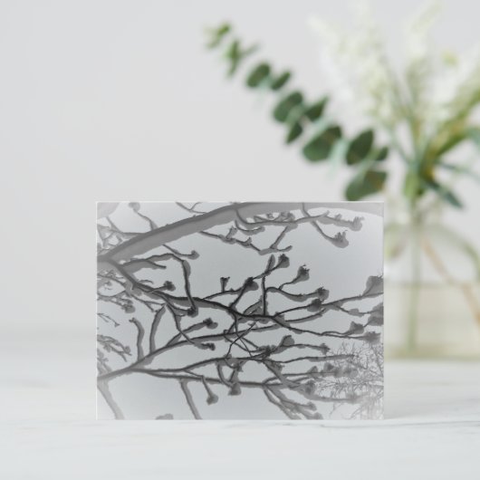 冬の夢はがき ポストカード (スタンド正面)