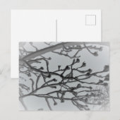 冬の夢はがき ポストカード (正面/裏面)