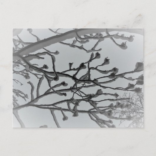 冬の夢はがき ポストカード (正面)
