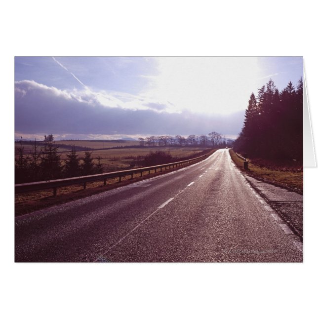 冬の太陽が低い幹線道路。 (正面横)