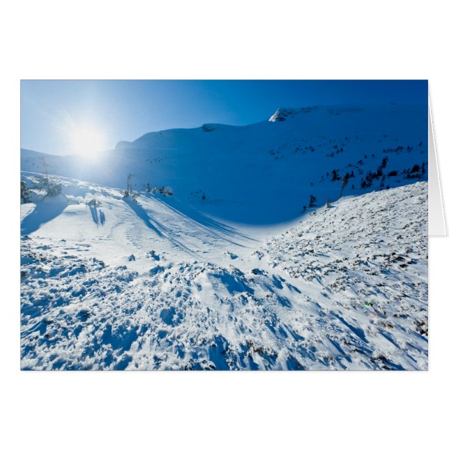 冬の太陽 (正面横)