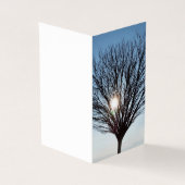 冬の太陽 (外部)