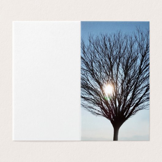 冬の太陽 (外部フラット)