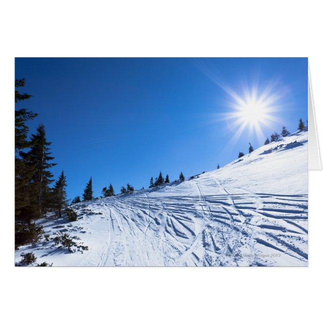 冬の太陽4 (正面横)