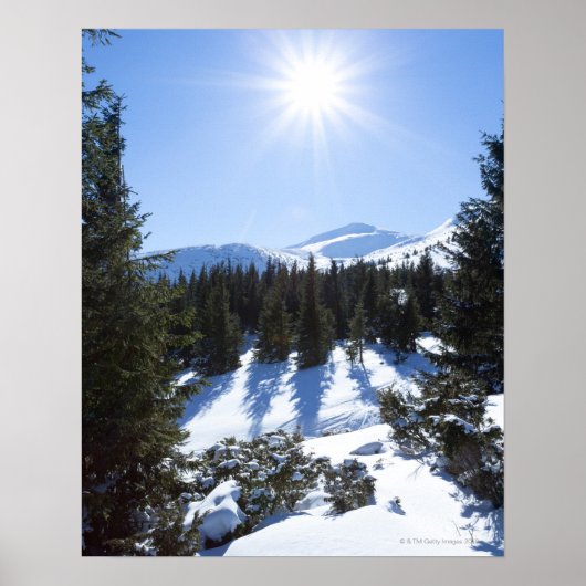 冬の太陽5 ポスター (正面)