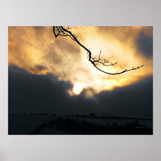 冬の太陽 ポスター (正面)