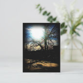 冬の太陽 ポストカード (スタンド正面)