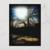 冬の太陽 ポストカード (正面)