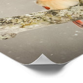 冬の女性（鳥）ショウジョウコウカンチョウ鳥 ポスター (角)