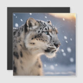 冬の威厳のある嵐のユキヒョウハート (正面/裏面)