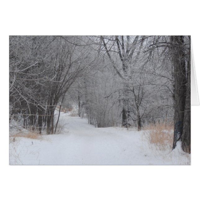 冬の孤独 (正面横)