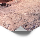 冬の家の森 – John 14:27 Bible Verse ポスター (角)