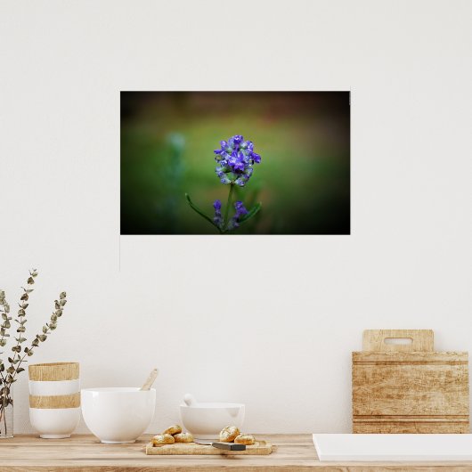 冬の寒さ ポスター (キッチン)