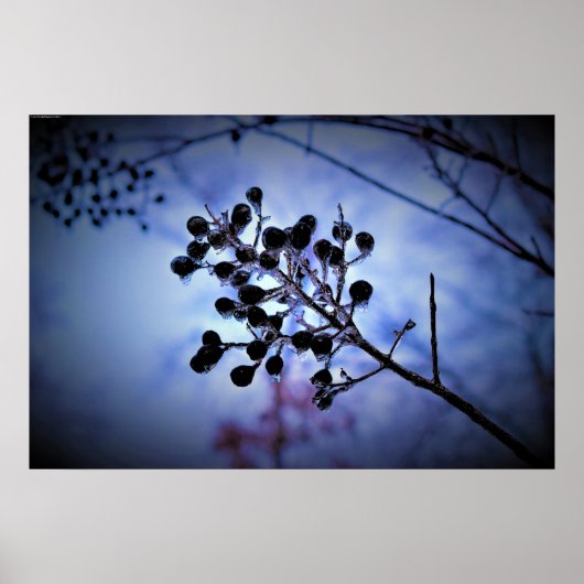 冬の寒さ ポスター (正面)