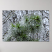 冬の寒さ ポスター (正面)