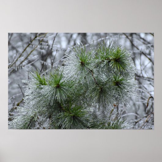 冬の寒さ ポスター (正面)