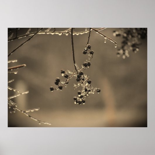 冬の寒さ ポスター (正面)