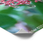 冬の嵐のポスター「ピンクアイス」 ポスター (角)