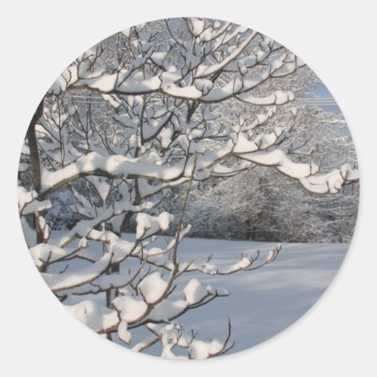 冬の嵐 ラウンドシール (正面)