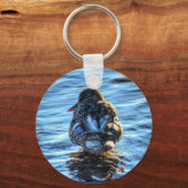 冬の川でマラードダック – 野生動物写真 キーホルダー (正面)