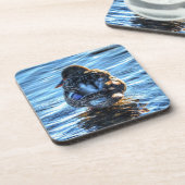 冬の川でマラードダック – 野生動物写真 コースター (左側)