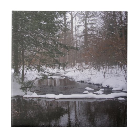 冬の川» タイル (正面)