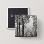 冬の常緑の森林 缶バッジ (正面&裏面)