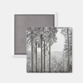 冬の常緑林 マグネット (正面/裏面)