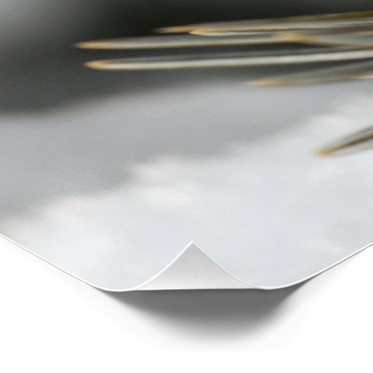 冬の常緑樹の枝で灰色の羽毛 ポスター (コーナー)