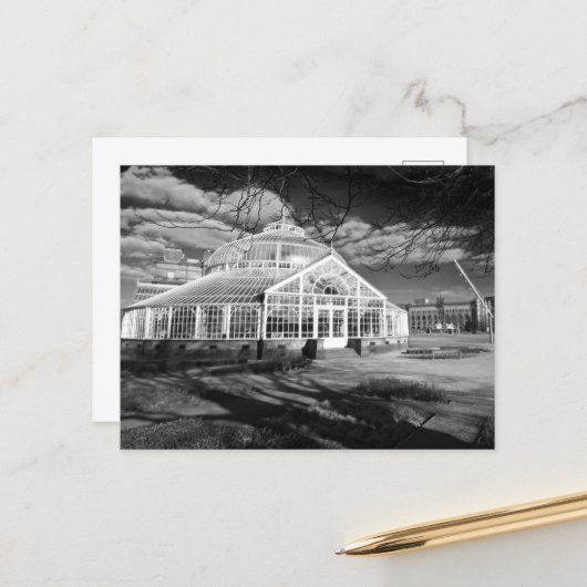 冬の庭、ピープルズパレス、グラスゴー、はがき ポストカード (正面/裏面インサイチュ)