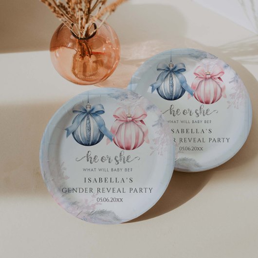 冬の性別の表示パーティー ペーパープレート