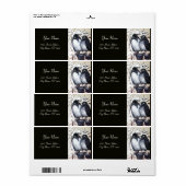 冬の恋の鳥 ラベル (フルシート)