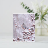 冬の戦士アメリカンロビン ポストカード (スタンド正面)