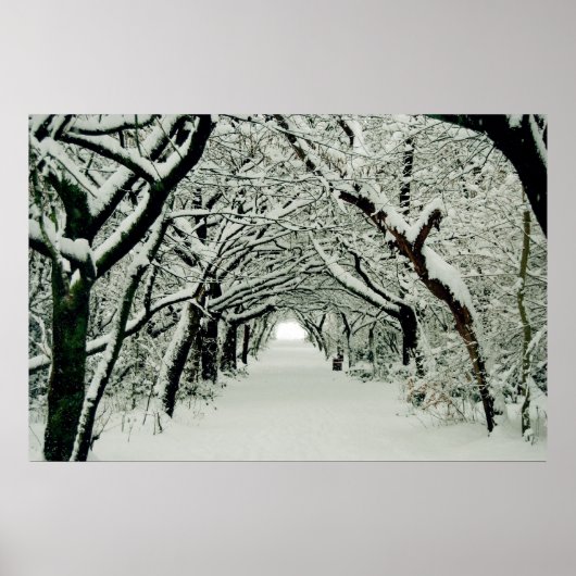 冬の散歩ポスター ポスター (正面)