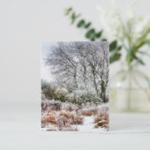 冬の散歩 ポストカード (スタンド正面)