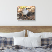 冬の日に丸い白い冠を持つスズメ キャンバスプリント (インサイチュ (寝室))