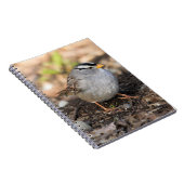 冬の日に丸い白い冠を持つスズメ ノートブック (右側)