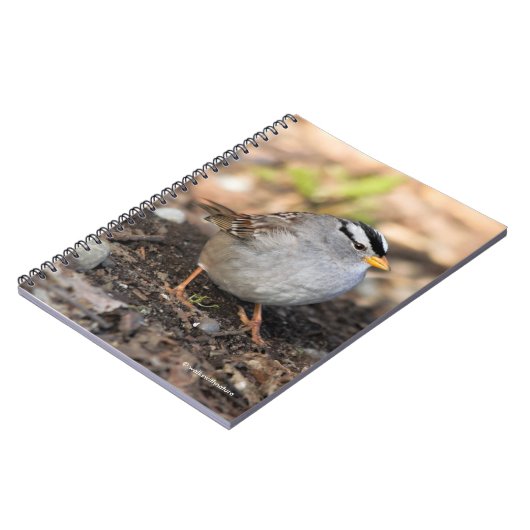 冬の日に丸い白い冠を持つスズメ ノートブック (左側)