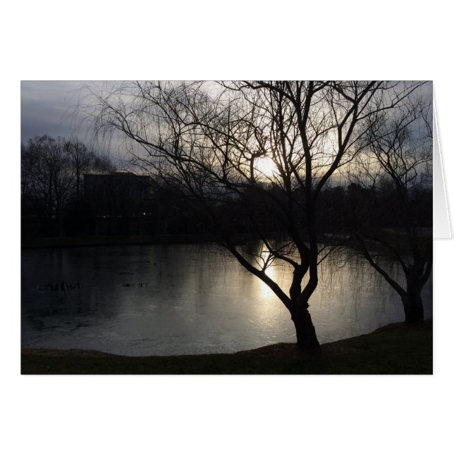 冬の日の出 (正面横)