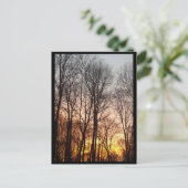 冬の日の出 – クリスマスの朝 シーズンポストカード (スタンド正面)