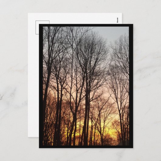 冬の日の出 – クリスマスの朝 シーズンポストカード (正面/裏面)