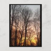 冬の日の出 – クリスマスの朝 シーズンポストカード (正面)