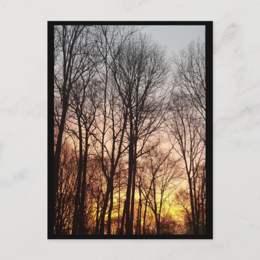 冬の日の出 – クリスマスの朝 シーズンポストカード (正面)