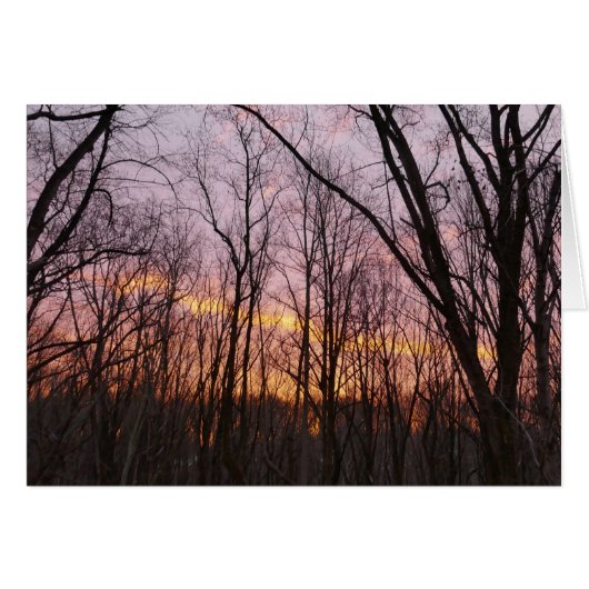 冬の日の出II (正面横)