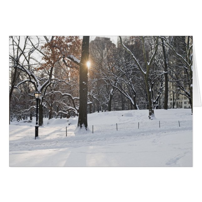 冬の日光セントラル・パーク (正面横)