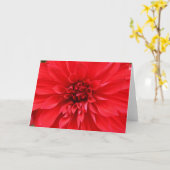 冬の日曜日の挨拶状 カード (黄色い花)