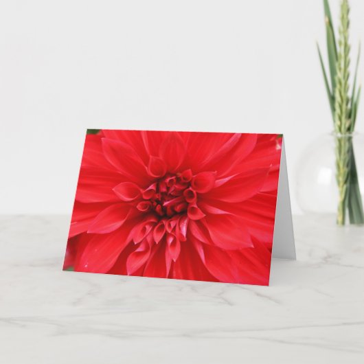 冬の日曜日の挨拶状 カード (正面)